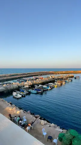 #fyp #tunisia #foryou #zarat❤️‍🔥❤️‍🔥 #Summer #جنوب_تونس🇹🇳😍❤ #tiktok #جربة_مدنين_بنقردان_جرجيس_تطاوين #CapCut #nourhajjaji #photography #اكسبلورexplore #الشعب_الصيني_ماله_حل #photography #soleil #plage 
