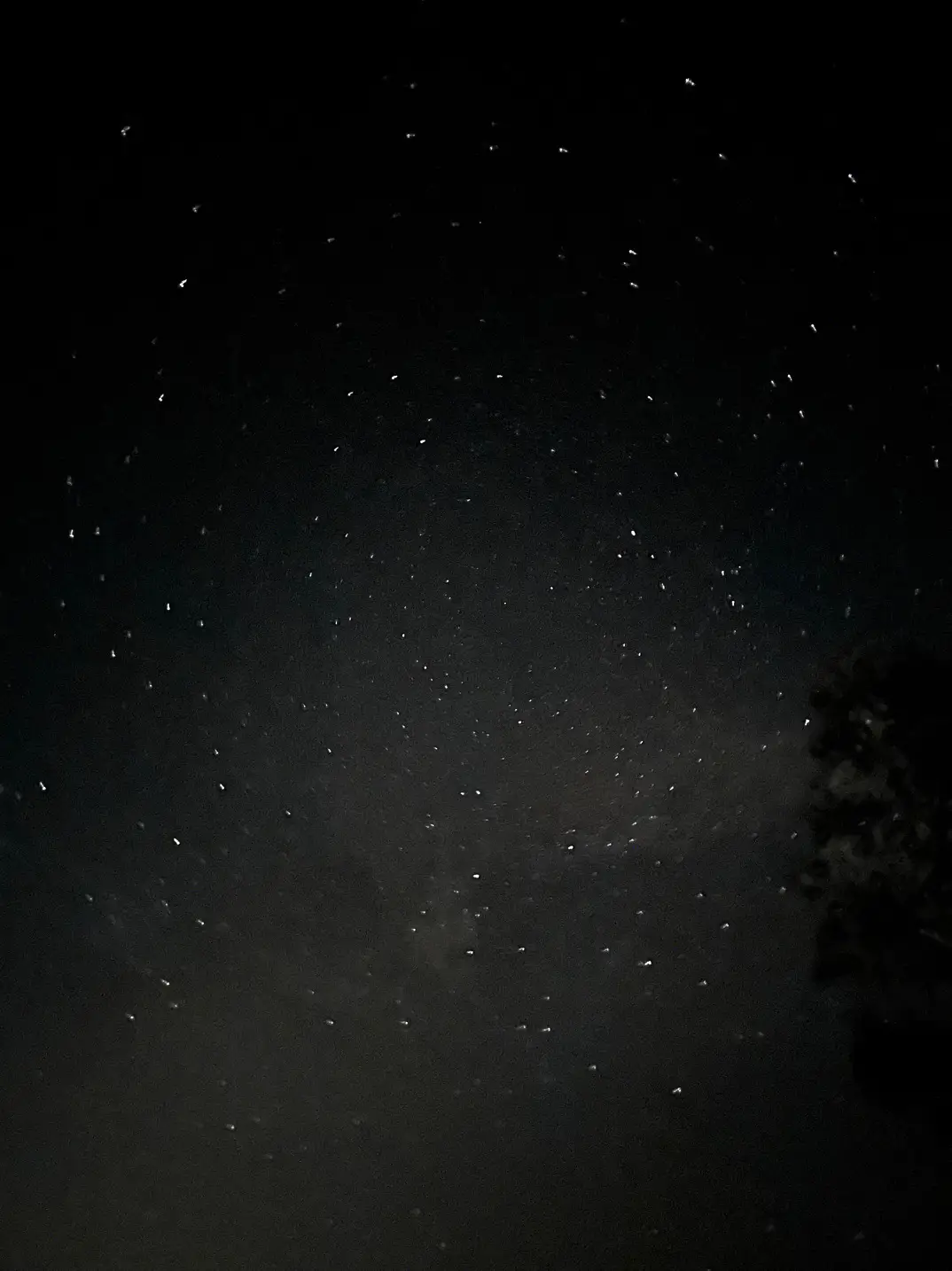 the sky is so full of stars #sky #milkyway #star #dark #stargazing #fyp #night #skyfullofstars 