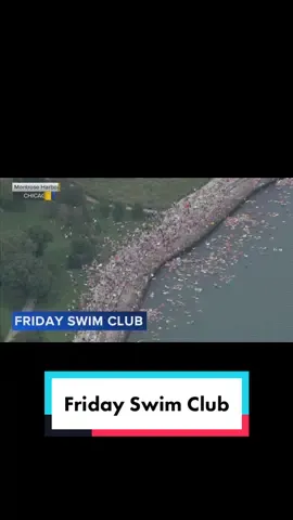 Video from Chopper 7HD captured the Friday Morning Swim Club cooling off at Montrose Harbor on a warm day! #chicago #news 