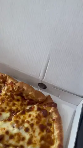 #doglicking #dogpizza #pizza 