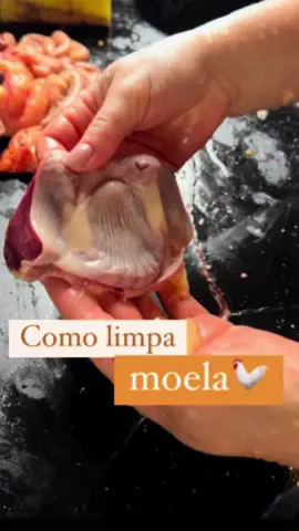 Coisa boa moela de 🐓 Melhor quando vem no pacotinho pronta, para quem não sabe a moela é a segunda parte do estômago da ave. É limpa retirada a pele que protege o estômago e tá pronta para aproveitar saborear. #moela #estomago #perrenguedaroça #colona #agro #flyp 