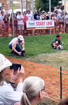#familypets #pets #dogpark #dogracing #DogTraining #dogs #dogcompetition #chiwawa 
