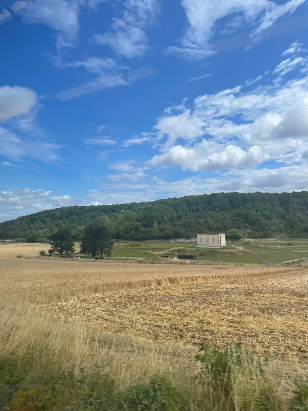 Sneak peak of Normandie 🌹#france #normandie #cows #clouds 