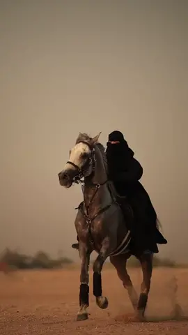 ##رفت_رفت_عيني_تريد_تشوفو💓 #خيل_عربي_اصيل #خيل_وخياله🐎 #منشن_للي_تحبه #هشتاكاتي_الترند_المشهوره #التنزيل_مفتوح_للجميع #ضيفونيييييييي🙂❤️ #fypシ #tktok_india #تصاميمي🔥✌🏻 ##fypシ #foryou #ارفعو_اكسبلور_حبايب_قلبي🙈follow_up #ضيفونيييييييي🙂 
