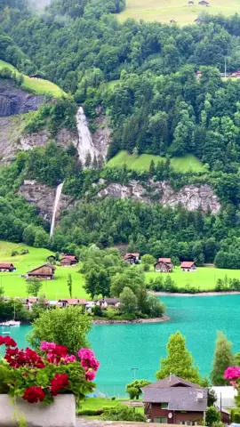 اطلالة ساحرة على بحيرة لونجيرن 🇨🇭 سويسرا 🇨🇭 #سفر #سياحة #السعودية #الرياض  #انترلاكن 