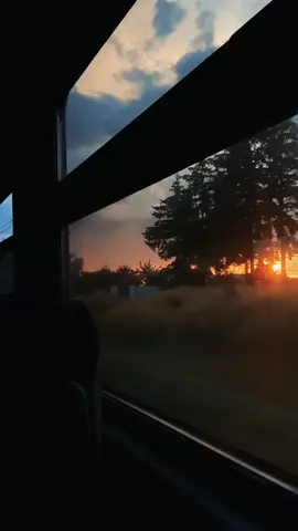 sunset from the train #sunset #aesthetic #train #nature #aestheticvideos 