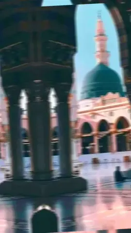 سيدي يا سيدي محمد يا حبيبي 🕊️💟#اكسبلور #fyp 