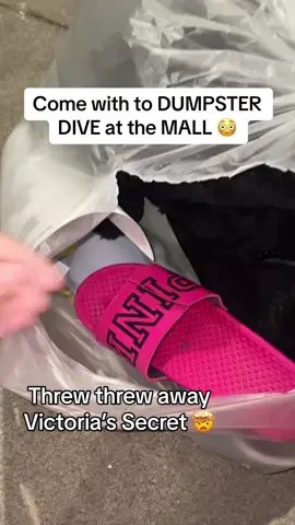 The mall dumpster was loaded.. 🤯 #dumpster #dumpsterdiving #mall #glamourddive 