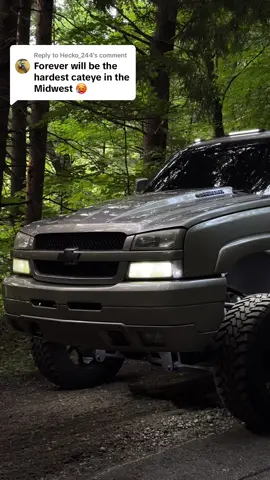Replying to @Hecko_244 been here since day one🫶🏼… #fyp #foryou #trucktok #elevatedmafia #coldfrontdiesel #wagler #fassfuelsystems 