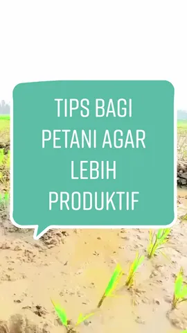 #gakakanfyp #lucu #lucu_ngakak #funnyvideos #FLKS #FYP #petani #caratanam #kreatif #prindapanmeresahkan #prindavanmeresahkan 