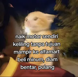 #4u #fyp 