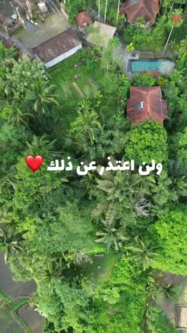 مشغوله في 