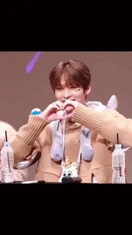 Super shy leeknow is my fav thing🥹❤️ #leeknow #leeminho #leeknowstraykids #leeknowedit #leeknowiscute #leeknowbestboy #skz #skzstay #skzedit #straykids #fyp #foryoupage #pourtoi 