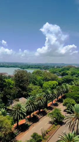 #bahirdar #city #palm #laketana #views 🌴🌴🌴#ጣናሀይቅ #ባህርዳር 