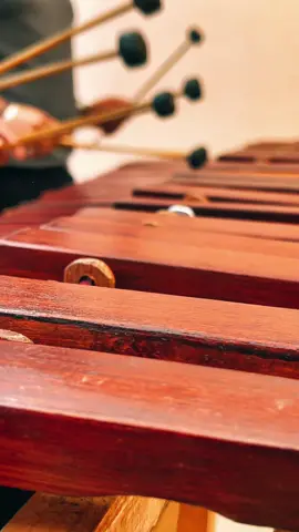 Sonidos familiares #marimba #mexicosound #tradicion #tradicional 