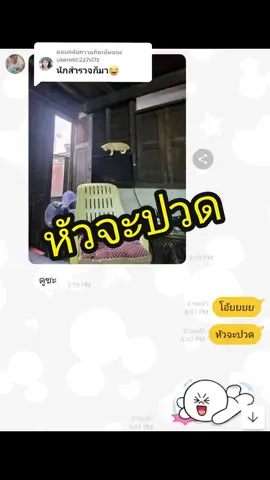 ตอบกลับ @useru6c2z7sl7z สำรวจเก่งจริงๆ #ไลอ้อนลีอาห์ #แมวกวน #แมวเด็ก #แมวมึน #แมวส้ม #แมวจร #สวนสัตว์tiktok #คุณพ่อลูกสอง #คุณพ่อมือใหม่