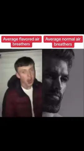 Average fan vs average enjoyer meme but air