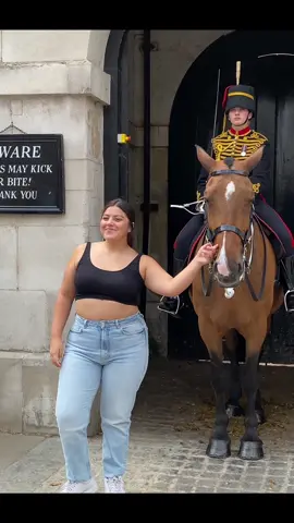 #foryoupage  #tiktokviral #viraltiktok #viralvideo #videoviral #follow #subscribe #like #share #bestvideo #fypviral #donottouch  #horseguardsparade #changingoftheguards #royalguards #thekingsguards #kingsguard #kingshorse #fyp #foryou #fypシ #fanpage #tourists #london #kingstroop #royalhorse 
