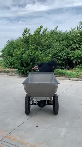 Electric three wheel dump truck#foryou #machine #goodthings #fyp 