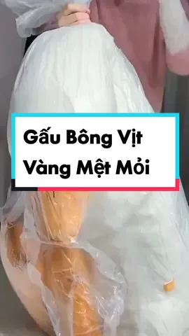 Gấu Bông Vịt Vàng Mệt Mỏi #xuhuong #trending #xuhuong2023 #monglenxuhuong #xaykenhtiktok #đồgiadụng #trend #tiktokshop #tiktok 