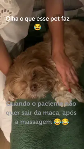 Esse ama uma massagem!! 😂♥️♥️ #pet #amorpet #viral #foryou #fy #cachorro #massagem #massoterapia #amor 