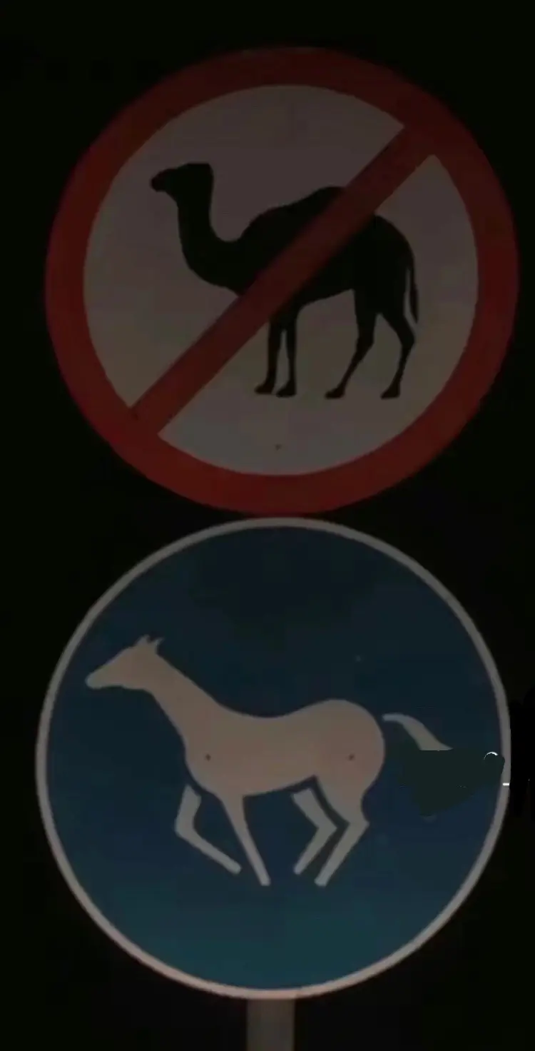 #tiktok #خيل_وخياله🐎 #viral هوايةً يستلذ بها وهو في صباه