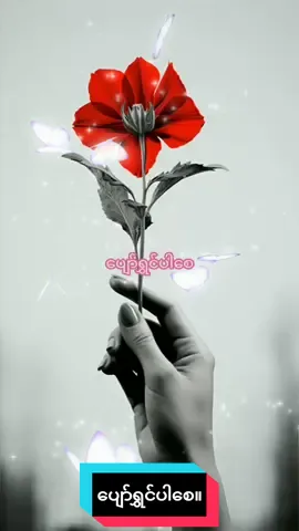 #foryou #ပျော်ရွှင်ပါစေ#ဆုတောင်းပေးလိုက်ပါတယ်