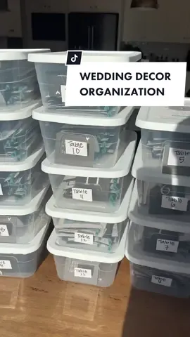@SKYE @SKYE @SKYE  can you tell I love organization? 🤪 #2023bride #2024bride #diybride #weddinginspo #weddingpacking #weddingorganization #weddingbindertemplate #fyp #weddingtok #weddingdecor 