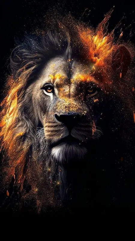 wallpapers Lion oh judah. #wallpaper #lion #animals 