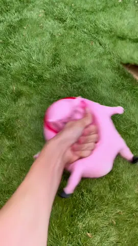 Link in bio 🐷🥵 #satisfying 