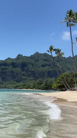 the most perfect day driving around oahu🌺🌺 swam with so many turtles #ohau #oahuhawaii #weekendgetaway #summervacation #oahulife 
