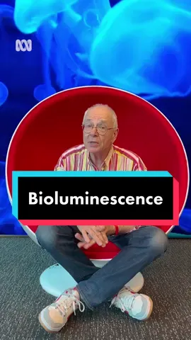 How did miners see in the dark before safety lights? 🔦🐟 with @Dr Karl #Bioluminescence #OceanGlow #Science #GreatMomentsInScience