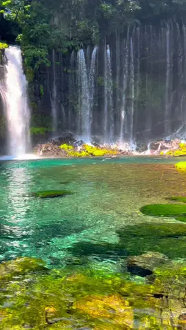 Beautiful Shiraito falls and the powerful Otodome falls near Mt Fuji. These can be found in Fujinomiya, Shizuoka prefecture. Part of Fuji-Hakone-Izu national park.  #waterfall #japan #shiraitofalls #shiraitofallsfujinomiya #otodomefalls #fujinomiya 