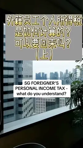 老铁们，你们会算个人所得税吗？ #出国打工人 #新加坡生活 #工作签证 #出国劳务 