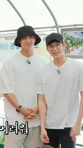 ish ish gemes banget sih kalian,, pas lagi maen  game gyu liatin wonu, terus nempel-nempel berdua😆 abis itu pas gyu kalah di tepok