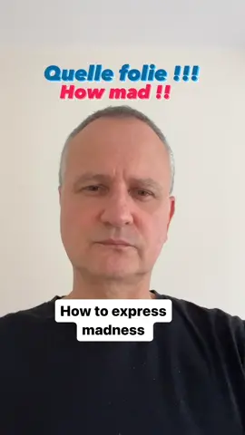 How to say that something is mad in French ? Enjoy the mini French lesson 😀👍🇫🇷 #frenchtuitionwithgilles #cestfou #frenchtutor #frenchlessonsforbeginners #intermediatefrench #teachingfrench #practicefrench #  #frenchtutorial #frenchlearner 
