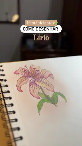 Como desenhar Lírio!🌺✨ #howtodraw #desenhista #artista #comodesenhar #tutorial 