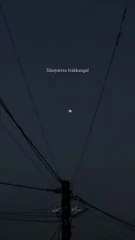 Nee Mattum Poo Endraal...🌙❤️! #nights #ypfッ #fypシ #tamilsong #coversong #kausaliya🤍 #lostinmusic🎶 #lyrics #lovesong #tag #foryou @𝓛𝓸𝓿𝓮𝓶𝓾𝓼𝓲𝓬  ◡̈🌚💜 