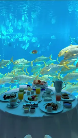 Imagine having breakfast at an underwater suite! #dubai 