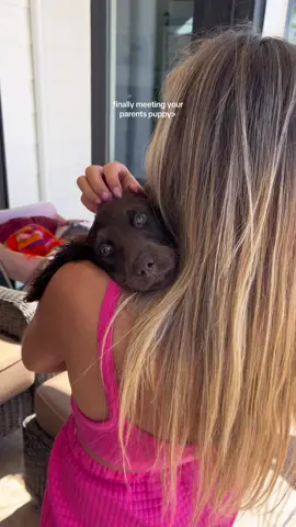 shes perfect🫶🏻 #realisticroutineswithken #hometown #meetingmypuppy #puppytiktok #puppydogsoftiktok #puppylife 