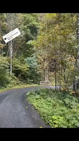 Fort raptor🥺🇬🇹