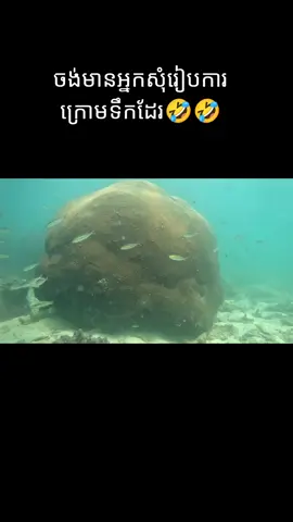 ជ្រមុជទឹកយូរៗបែកគំនិត🤣សុំរៀបការក្រោមទឹកប្រហែលតិចទៀតមកក្រេបទឹកទឹកក្រោមទឹកដូចត្រីដែរ🤣