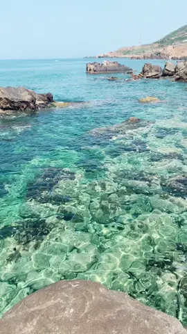 #beniksila06bejaia🇩🇿❤️❤️ @haddadi_hadjila #Playasummerbeach2023❤️❤️❤️‍🔥❤️‍🔥