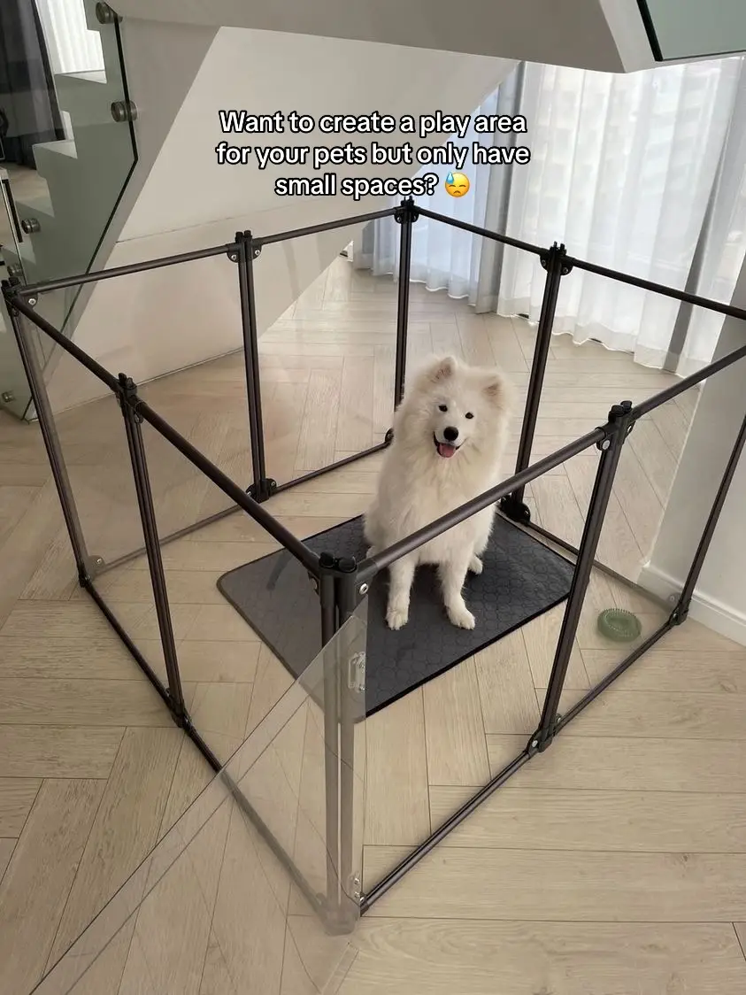 Flexibility at Its Finest ✨   #thepetprojectph #petfurniture #petfriendlyfurniture #dogplaypen #petplaypen #petph #dogph 