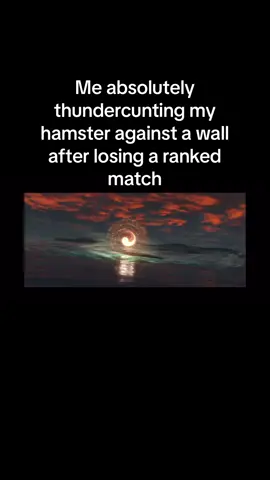 Hampter #fyp #gamingmeme #rankedplay #mw2 #cod #callofduty #memes #funnyvideos 