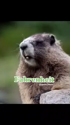 #VoiceEffects #tupaicomel #tupaiimut #RekomendasiKartun #animals #fypdong #fyp #fyp #panggilnama #panggilnama #game_fahmi #animal 