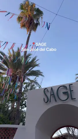 came here two days in a row to try more things on the menu, it is that good 🌵🌮🥗 this will be the new IT restaurant in Cabo in the next year mark my words #sagerestaurant #sanjosedelcabo #RestaurantReview #mexicancuisine #mexicanculture #sanjose #caborestaurants #cabosanlucas #cabo #vacation #sage 