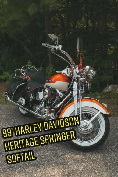 1999 Harley Davidson FLSTS Heritage Springer Softail. Despite its nostalgic front-end architecture, the Heritage Springer Softail offers contemporary power, curating a modern classic that is powerful, comfortable, and stands out wherever it goes with its unique style. #nationalpowersportsdistributors #nps #npsd #newhampshire #nh #motorcycle #motorcyclelife #bikelife #newengland #newyork #ny #harleydavidson #softail #springersoftail #harleydavidsonmotorcycles #harleylife #harley #springer #flsts #FLSTS #motorcyclephotography #bikephotography #photography #classic