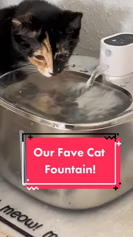 We LOVE our pet fountain by @APETDOLA Official! It is perfect for multiple pets, so if youre tired of constantly refilling water bowls- this is the fountain for you! I love that it can either be plugged in or used wirelessly but my favorite feauture is that this offers a motion sensor. Whenever my cats get close enough, it will kick on so it doesnt have to constantly be running (though thats a feature option, too!). This fountain is cat friendly but also extremely human friendly, too! It lights up red when the water gets low so you dont gave to play the guessing game! Dont go chasing after the right water fountain, do it right the first time and get one from #apetdola!  #catfountain #fountain #catsoftiktok #cat 