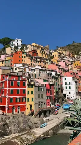 Straight out of a dream ✨😍 #italy #cinqueterre #thisscenefeelslikewhationcesawonascreen #taylorswift #europeansummer 